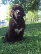 Превью фото № 158615