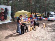 Превью фото № 158631