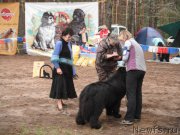 Превью фото № 158635