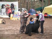 Превью фото № 158636