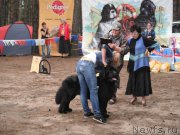 Превью фото № 158637