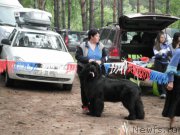 Превью фото № 158645