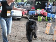 Превью фото № 158650