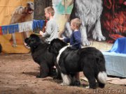 Превью фото № 158653