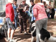 Превью фото № 158656