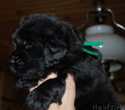 Превью фото № 158673