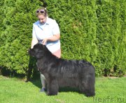 Превью фото № 158717