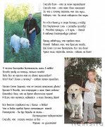 Превью фото № 158748