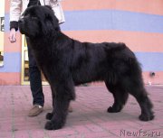 Превью фото № 158812