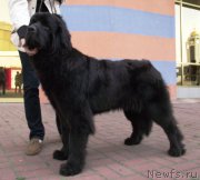 Превью фото № 158813