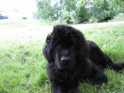 Превью фото № 158858