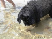 Превью фото № 158884