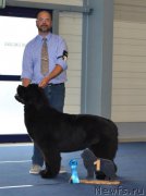 Превью фото № 158893