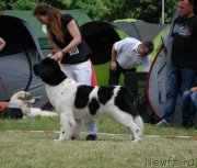 Превью фото № 158899