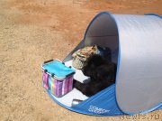 Превью фото № 158904