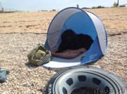 Превью фото № 158905