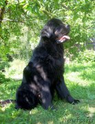 Превью фото № 159026