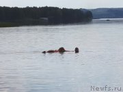 Превью фото № 159185