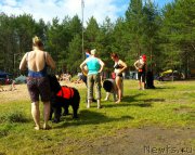 Превью фото № 159188