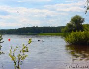 Превью фото № 159189