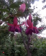 Превью фото № 159315