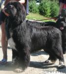 Превью фото № 15936