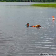 Превью фото № 159377