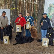Превью фото № 159378