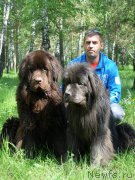 Превью фото № 159424