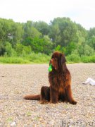 Превью фото № 159512