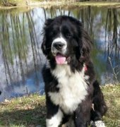 Превью фото № 159580