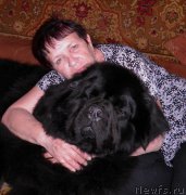 Превью фото № 159645