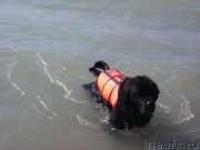 Превью фото № 159647