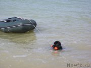 Превью фото № 159648