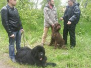 Превью фото № 159712