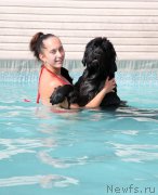 Превью фото № 159776