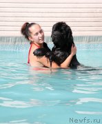 Превью фото № 159777