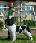 Превью фото № 159789