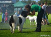 Превью фото № 159793