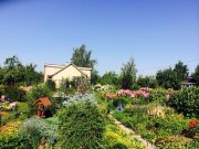 Превью фото № 159809