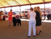 Превью фото № 159828