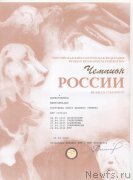 Превью фото № 159842