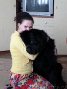 Превью фото № 159855