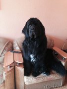 Превью фото № 160105