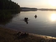 Превью фото № 160200