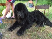 Превью фото № 160203