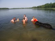 Превью фото № 160207