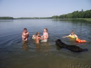 Превью фото № 160208