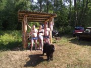 Превью фото № 160210