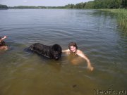 Превью фото № 160211